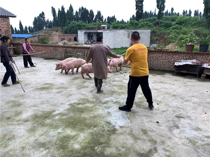 1558168636533512.jpg 圖片5_副本.jpg